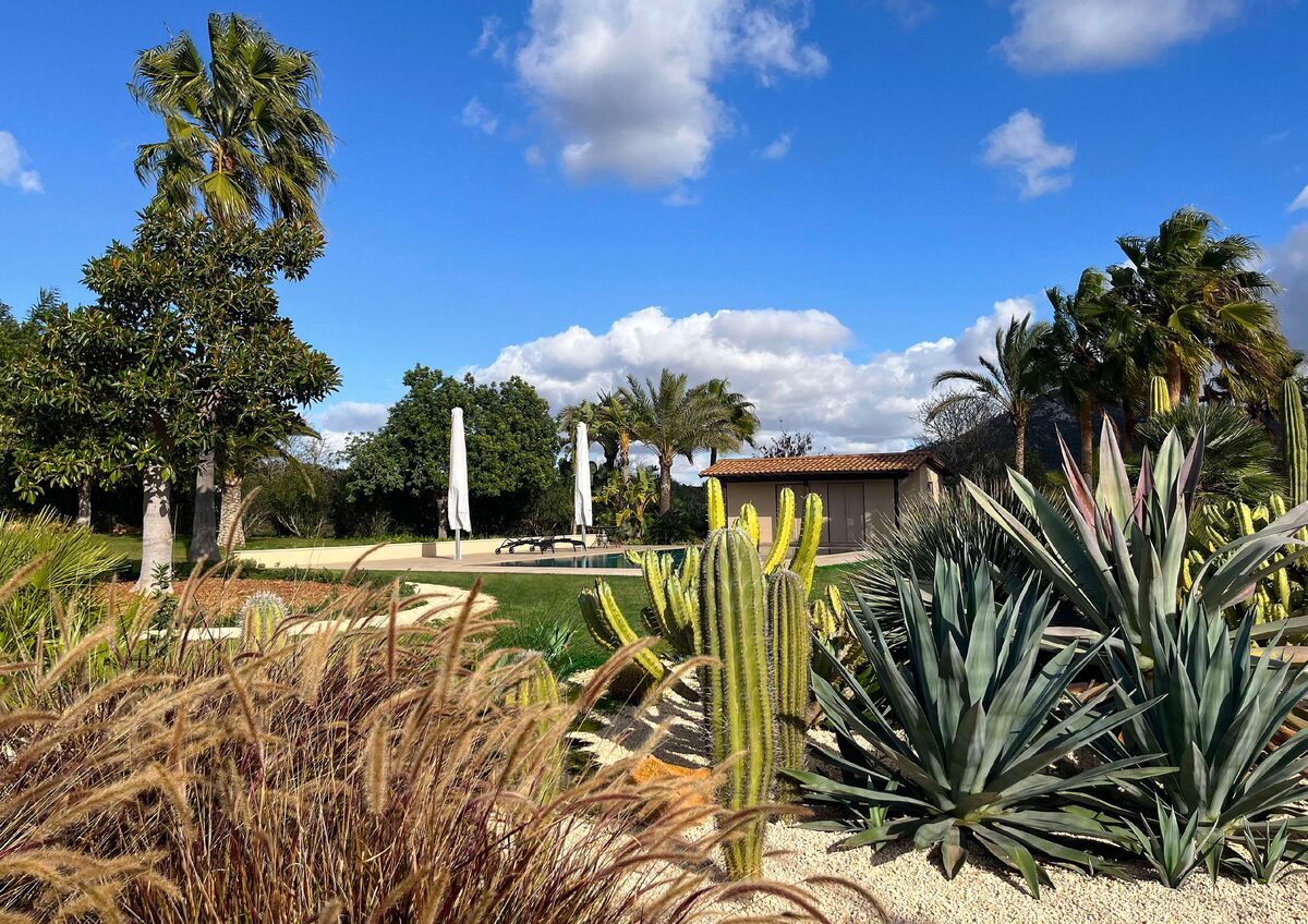 Jardín de cactus y agaves junto a una piscina
