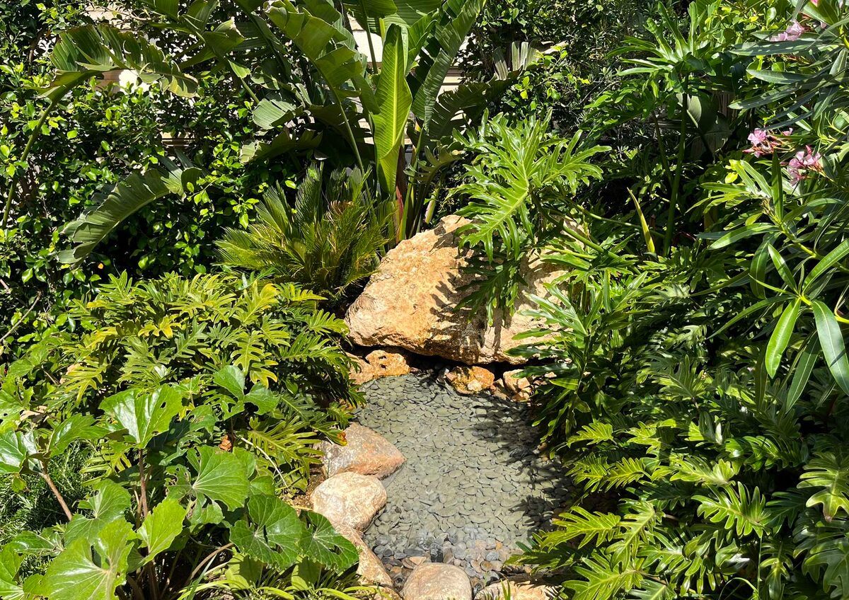 Jardín del proyecto MAGO con piscina y vegetación mediterránea